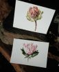 Stationery